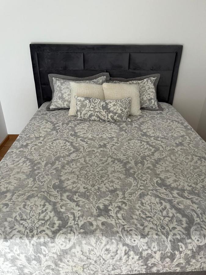 Plava Zvezda Centar Free Garage Apartment Novi Sad Luaran gambar